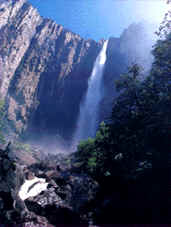 Cascada de Basaseachi.