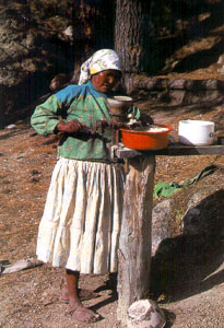 Basihuare