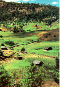 Basihuare