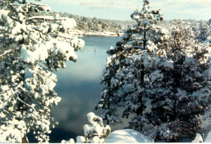 Lago de Arareco Nevado