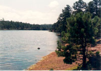 Lago Arareco
