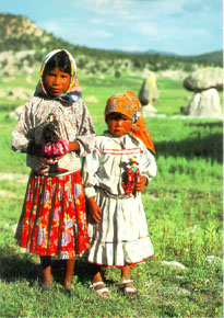 Tarahumaras